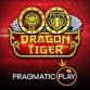 Dragon Tiger